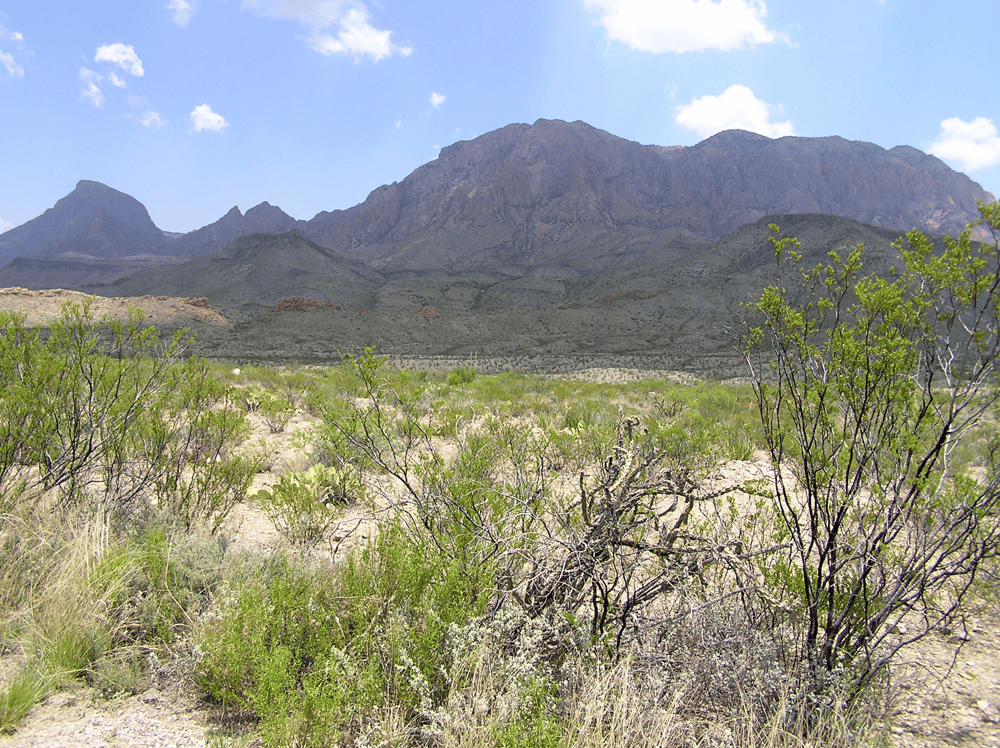 Ultimate Guide to Texas Travel Destinations: Best Cities, Attractions & Getaways 3 West Texas Wonders and the Great Outdoors